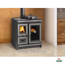 Купить Отопительно варочная печь La Nordica Italy, заказать Отопительно варочная печь La Nordica Italy по низким ценам 1 863 грн. ₴   